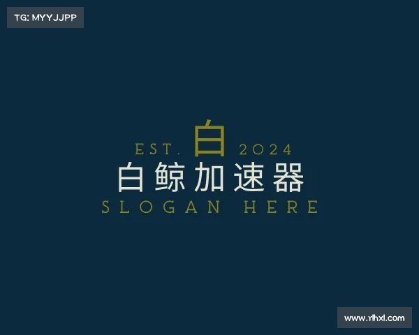 认识白鲸加速器